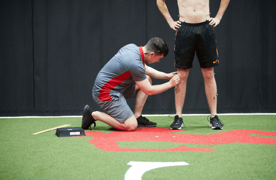 Vicon Nexus 软件界面